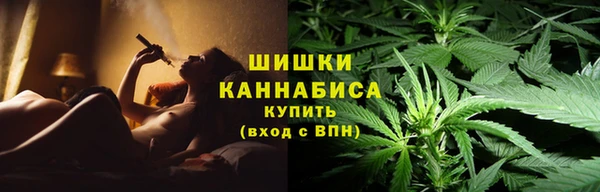 Альфа ПВП Белокуриха