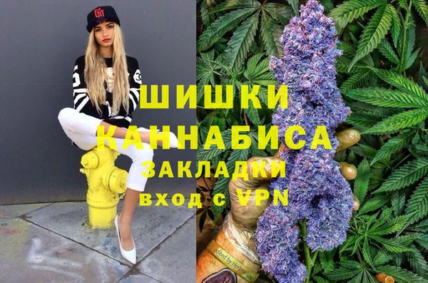 Альфа ПВП Белокуриха