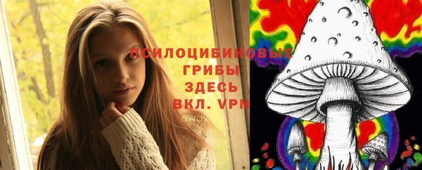 Альфа ПВП Белокуриха